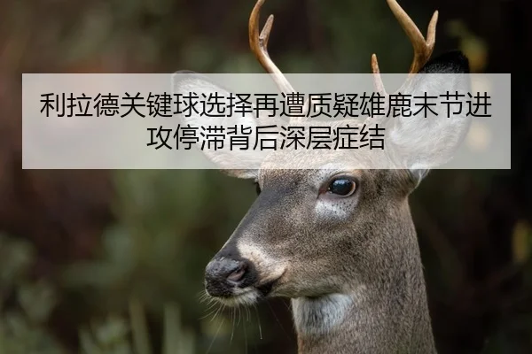 利拉德关键球选择再遭质疑雄鹿末节进攻停滞背后深层症结