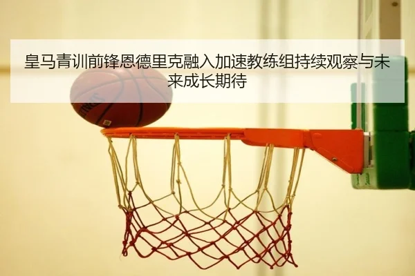 img_1785231751232_656_1_290.jpg